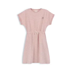 ELYS & CO. METALLIC STRIPE DRESS