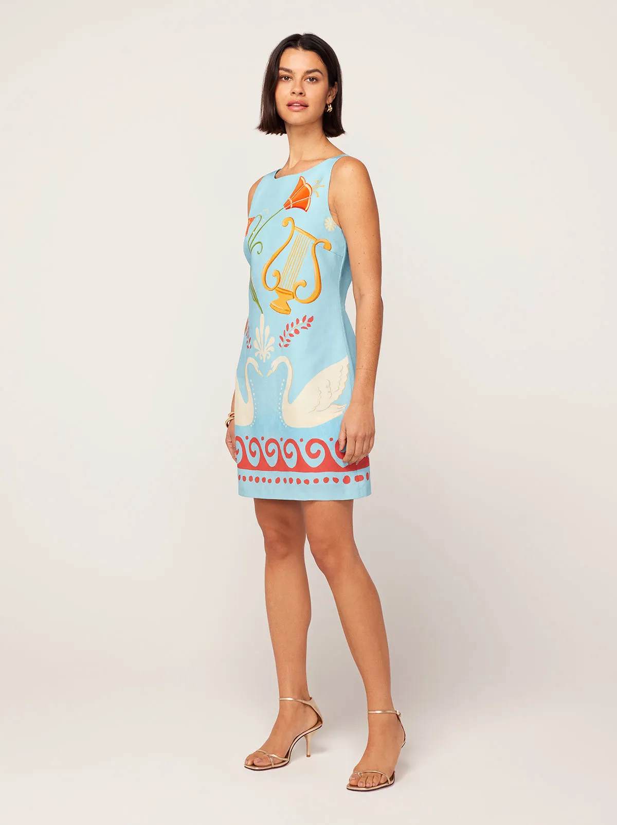 Marina Blue Cygnus and Lyra Print Mini Dress