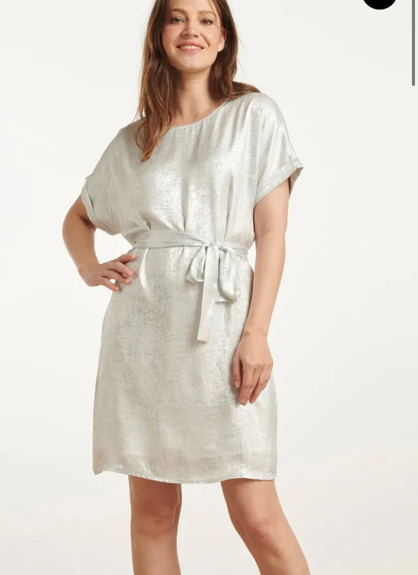 Smashed Lemon Metallic Silver Dress